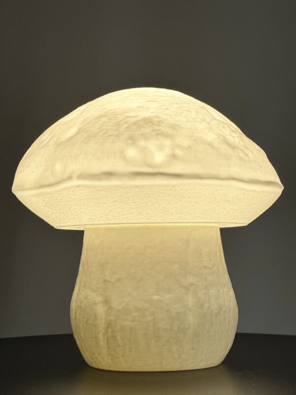 BOLETUS-Leuchte – Bild 2