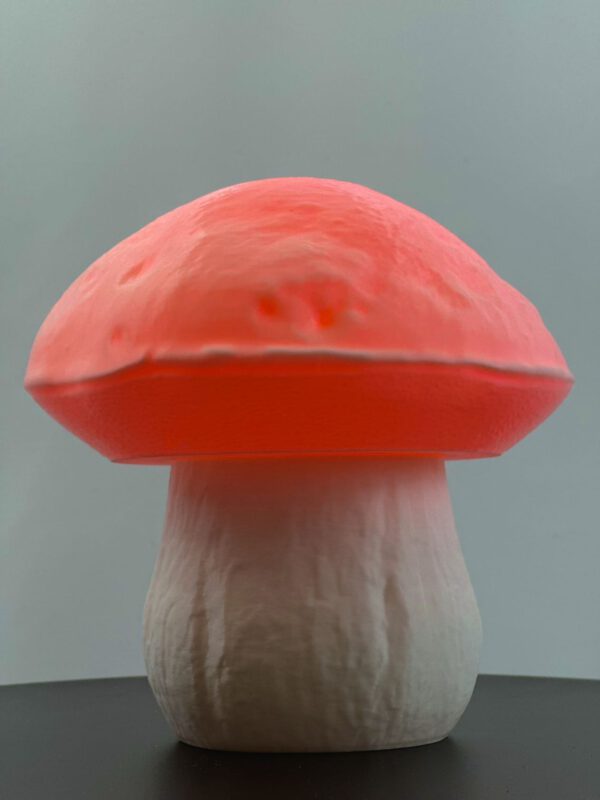 BOLETUS-Leuchte – Bild 4