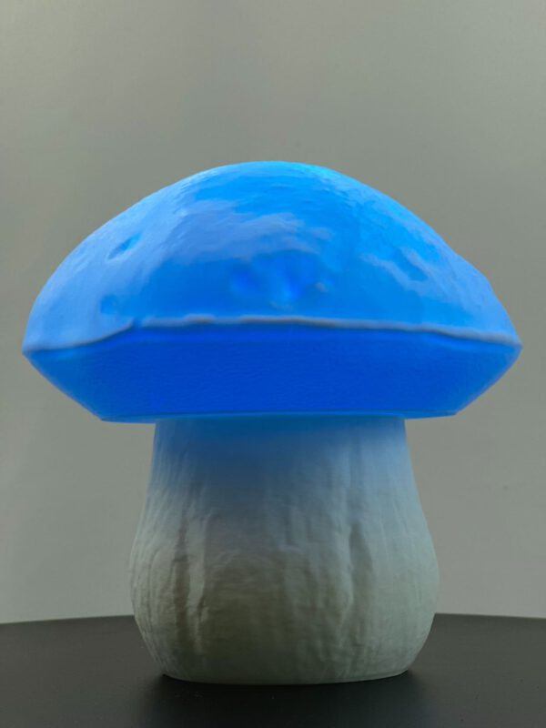 BOLETUS-Leuchte – Bild 5